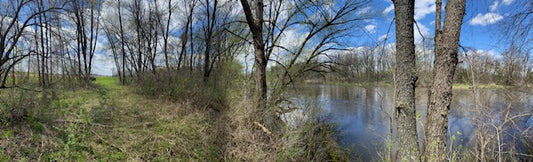 Riparian buffer helps protect water quality along river